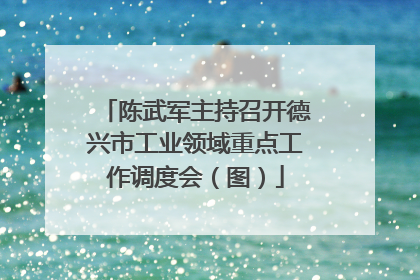 陈武军主持召开德兴市工业领域重点工作调度会（图）