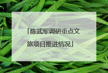 陈武军调研重点文旅项目推进情况
