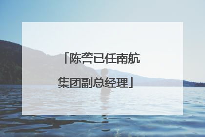陈詟已任南航集团副总经理