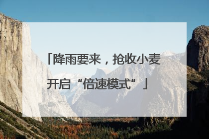 降雨要来，抢收小麦开启“倍速模式”