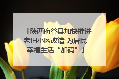 陕西府谷县加快推进老旧小区改造 为居民幸福生活“加码”