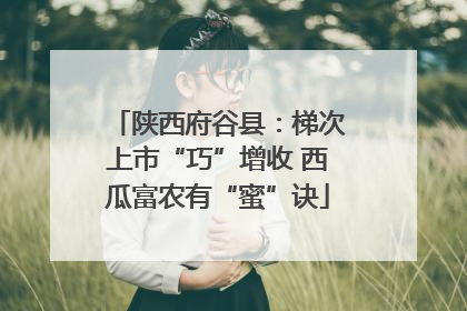 陕西府谷县：梯次上市“巧”增收 西瓜富农有“蜜”诀