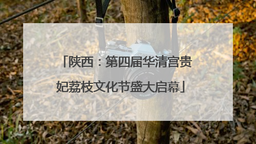 陕西：第四届华清宫贵妃荔枝文化节盛大启幕