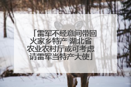 雷军不经意间带回火家乡特产 湖北省农业农村厅或可考虑请雷军当特产大使