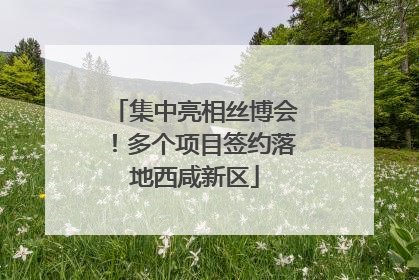 集中亮相丝博会！多个项目签约落地西咸新区