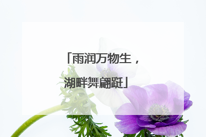 雨润万物生，湖畔舞翩跹