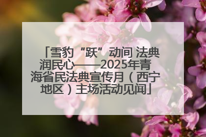 雪豹“跃”动间 法典润民心——2025年青海省民法典宣传月（西宁地区）主场活动见闻