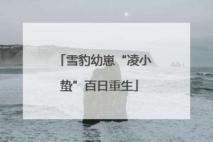 雪豹幼崽“凌小蛰”百日重生