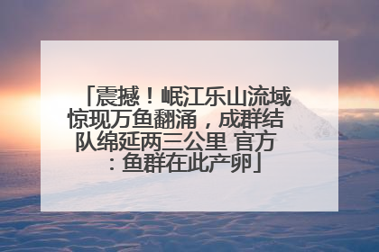 震撼！岷江乐山流域惊现万鱼翻涌，成群结队绵延两三公里 官方：鱼群在此产卵