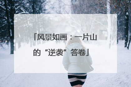 风景如画：一片山的“逆袭”答卷