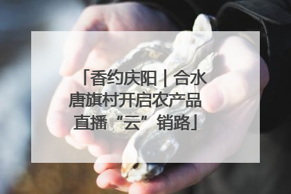 香约庆阳|合水唐旗村开启农产品直播“云”销路