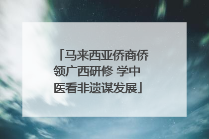 马来西亚侨商侨领广西研修 学中医看非遗谋发展