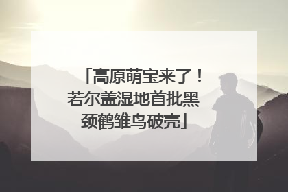 高原萌宝来了！若尔盖湿地首批黑颈鹤雏鸟破壳