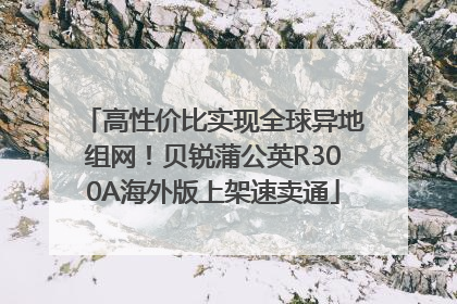 高性价比实现全球异地组网！贝锐蒲公英R300A海外版上架速卖通