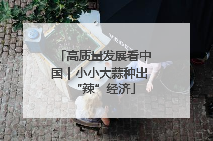 高质量发展看中国｜小小大蒜种出“辣”经济