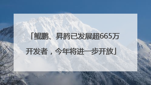 鲲鹏、昇腾已发展超665万开发者，今年将进一步开放