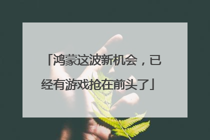 鸿蒙这波新机会，已经有游戏抢在前头了