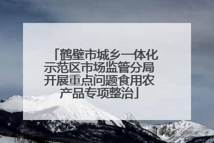 鹤壁市城乡一体化示范区市场监管分局开展重点问题食用农产品专项整治