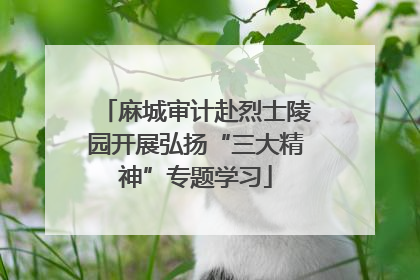 麻城审计赴烈士陵园开展弘扬“三大精神”专题学习