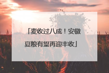 麦收过八成！安徽夏粮有望再迎丰收