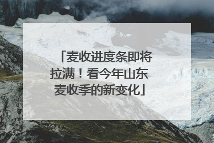 麦收进度条即将拉满！看今年山东麦收季的新变化