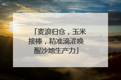 麦浪归仓，玉米接棒，精准滴灌唤醒沙地生产力