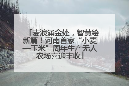 麦浪涌金处，智慧绘新篇！河南首家“小麦—玉米”周年生产无人农场喜迎丰收