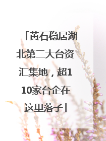 黄石稳居湖北第二大台资汇集地，超110家台企在这里落子
