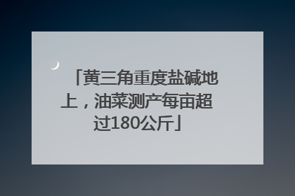 黄三角重度盐碱地上，油菜测产每亩超过180公斤