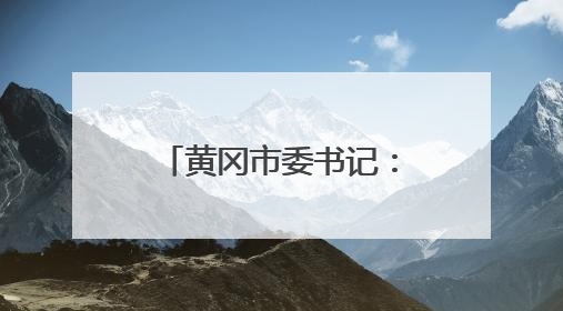黄冈市委书记：要从黄梅案例中汲取惨痛教训，深刻检讨反思