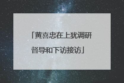 黄喜忠在上犹调研督导和下访接访