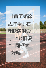 黄子韬徐艺洋牵手看鹿晗演唱会，“老相识” 同框太好嗑！