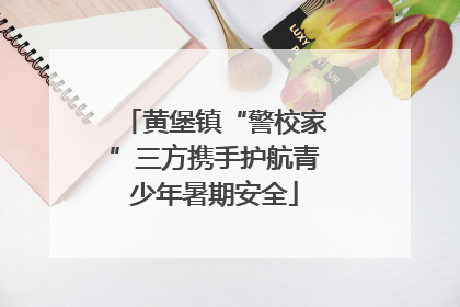 黄堡镇“警校家”三方携手护航青少年暑期安全