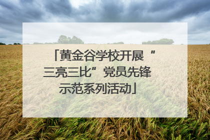 黄金谷学校开展“三亮三比”党员先锋示范系列活动