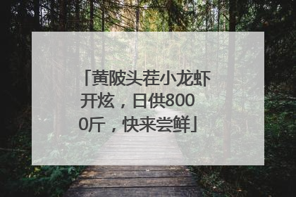 黄陂头茬小龙虾开炫，日供8000斤，快来尝鲜