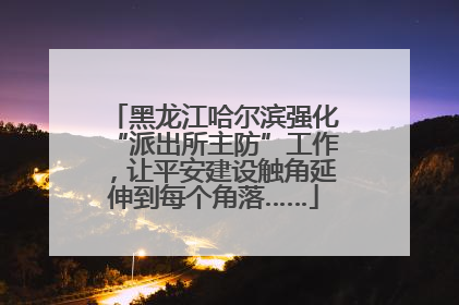 黑龙江哈尔滨强化“派出所主防”工作，让平安建设触角延伸到每个角落……