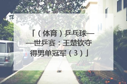 （体育）乒乓球——世乒赛：王楚钦夺得男单冠军（3）