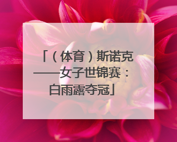 （体育）斯诺克——女子世锦赛：白雨露夺冠