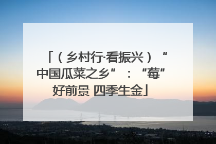 （乡村行·看振兴）“中国瓜菜之乡”：“莓”好前景 四季生金