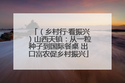 （乡村行·看振兴）山西天镇：从一粒种子到国际餐桌 出口富农促乡村振兴