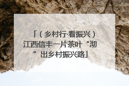 （乡村行·看振兴）江西信丰一片茶叶“沏”出乡村振兴路