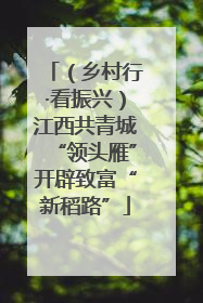 （乡村行·看振兴）江西共青城“领头雁”开辟致富“新稻路”