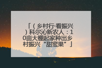 （乡村行·看振兴）科尔沁新农人：10亩大棚起家种出乡村振兴“甜蜜果”