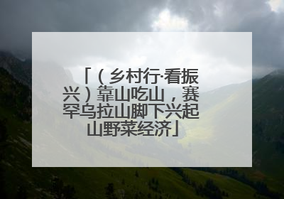 （乡村行·看振兴）靠山吃山，赛罕乌拉山脚下兴起山野菜经济