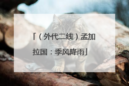 （外代二线）孟加拉国：季风降雨