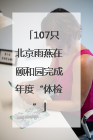 107只北京雨燕在颐和园完成年度“体检”
