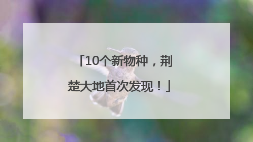 10个新物种，荆楚大地首次发现！