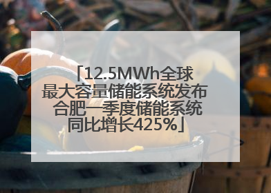12.5MWh全球最大容量储能系统发布 合肥一季度储能系统同比增长425%