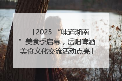 2025 “味道湖南”美食季启幕，岳阳啤酒美食文化交流活动点亮
