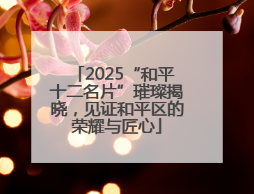 2025“和平十二名片”璀璨揭晓，见证和平区的荣耀与匠心